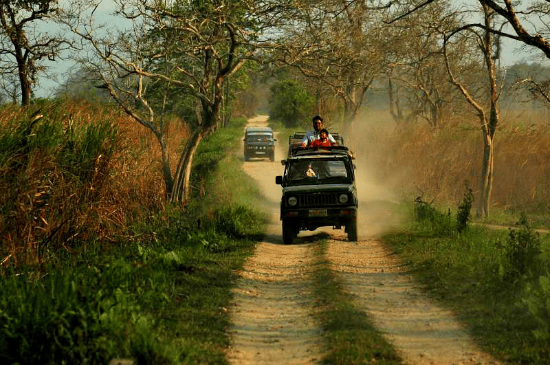 Explore the Park on a Jeep Safari Adventure