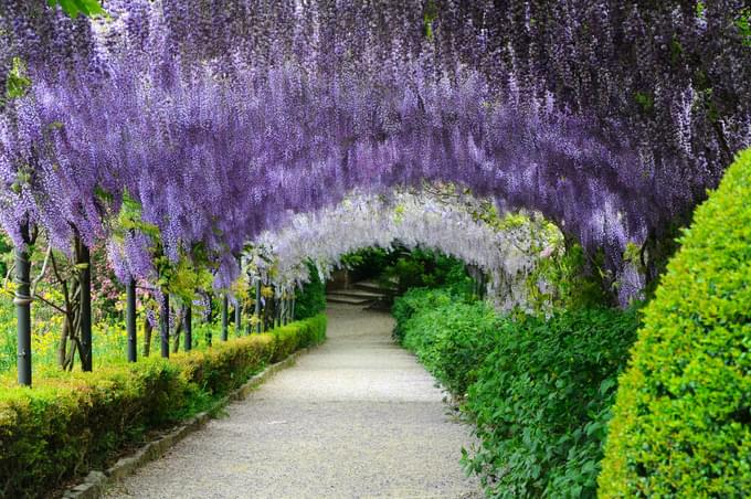 Bardini Garden