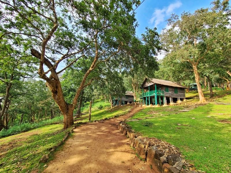 K Gudi Wilderness Camp Near Mysore