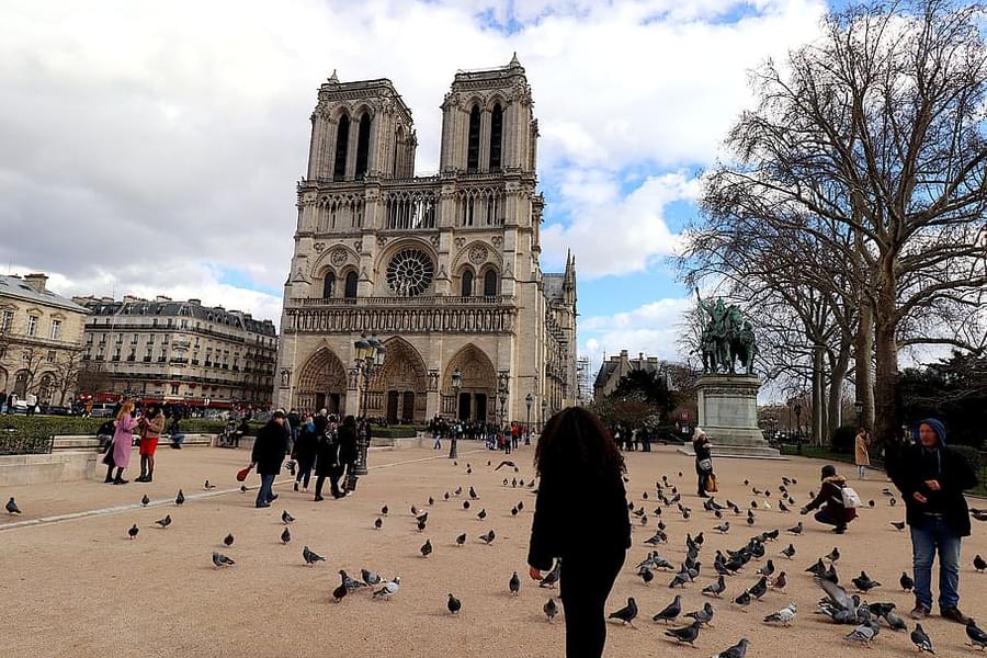 Paris in November