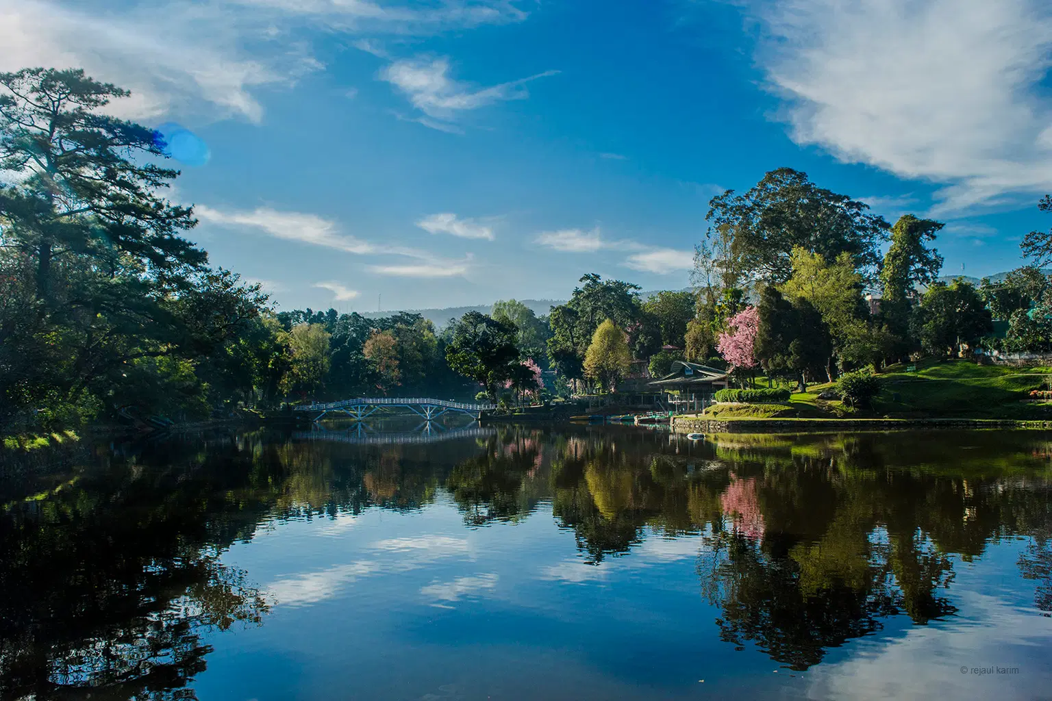 Ward's Lake