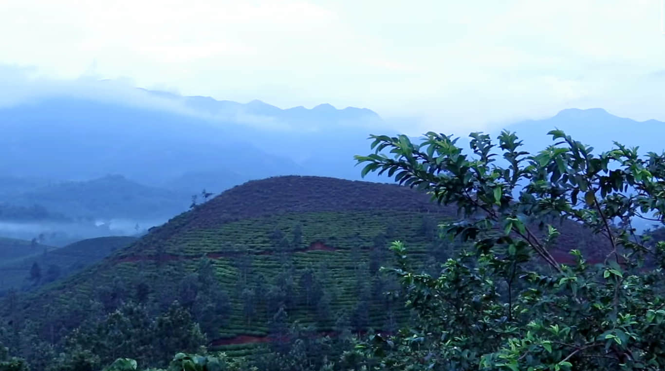Photo from Uma Jha's trip