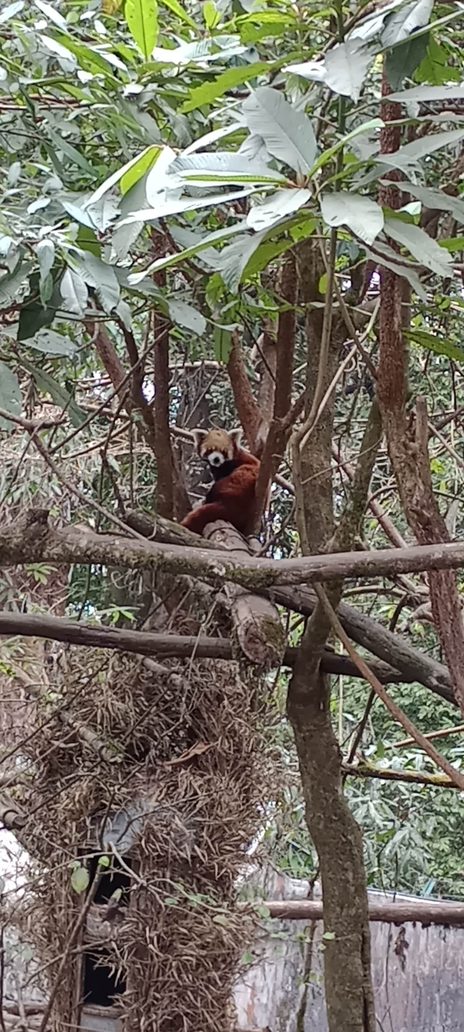 Photo from Chintamani  Walvekar's trip