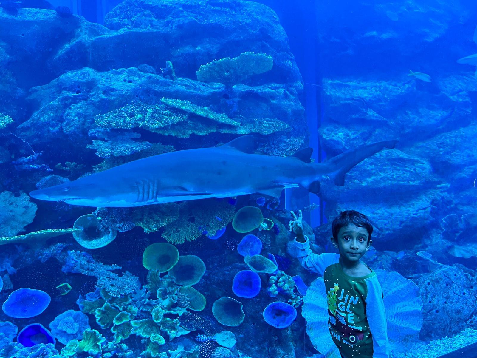 anand essar