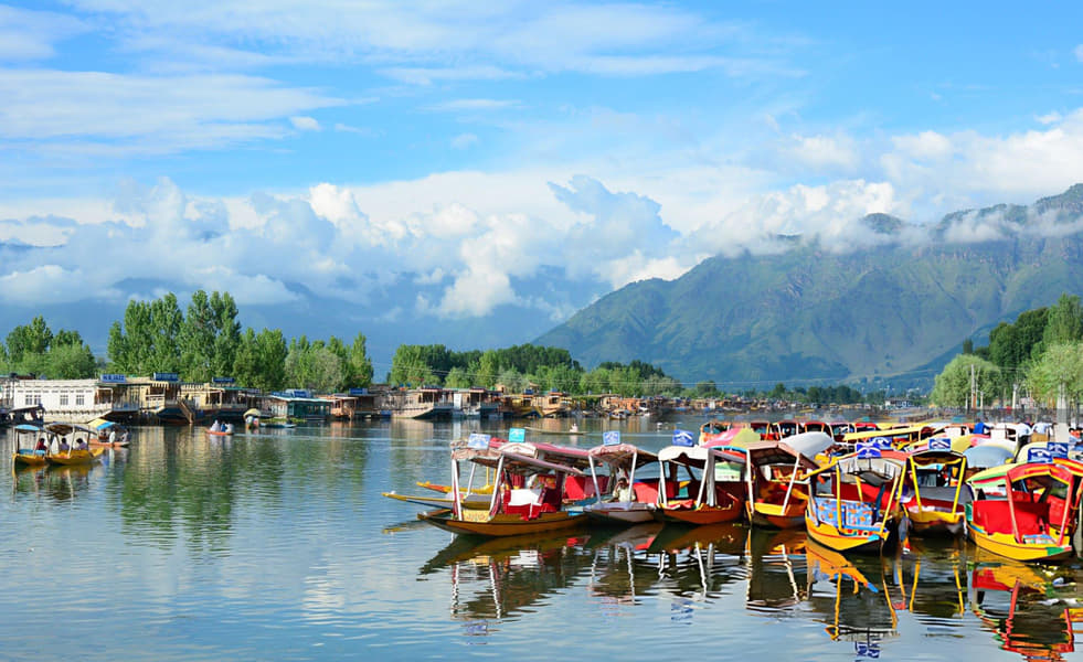 Shikara Boat Ride at Nigeen Lake, Srinagar Image