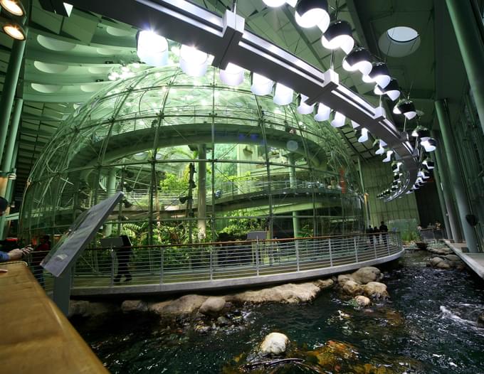 Check out the exceptional rainforest