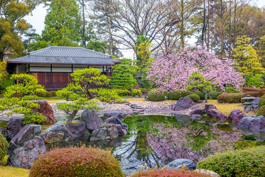 Kyoto and Nara Sightseeing Tour Image
