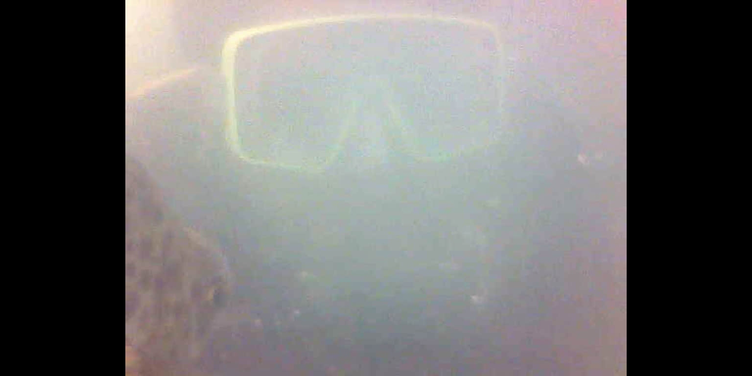 Traveller photo