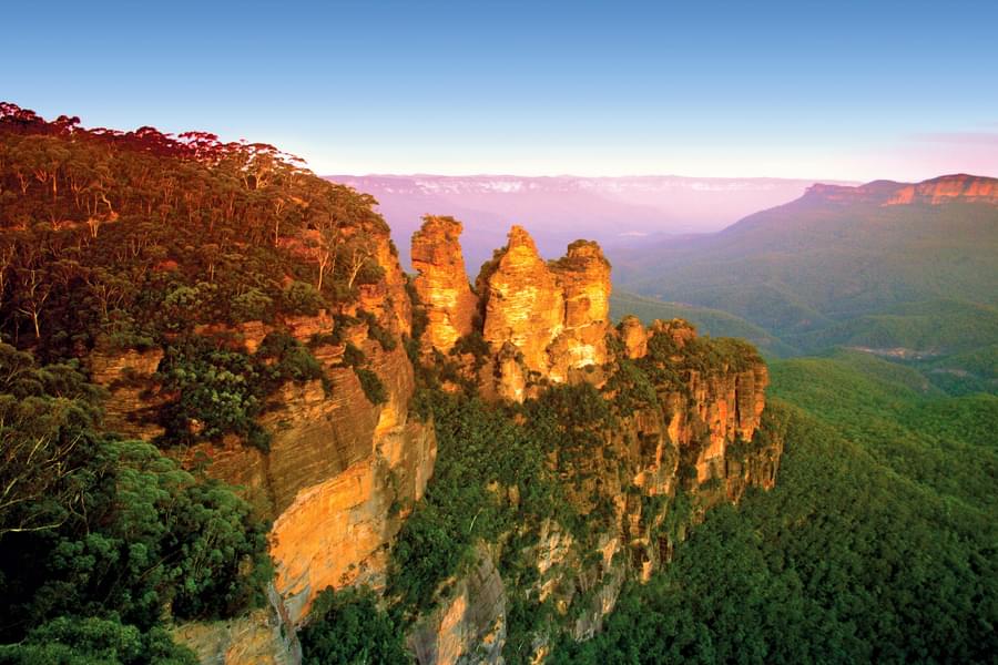 Blue Mountains and Australian Wildlife Tour Image