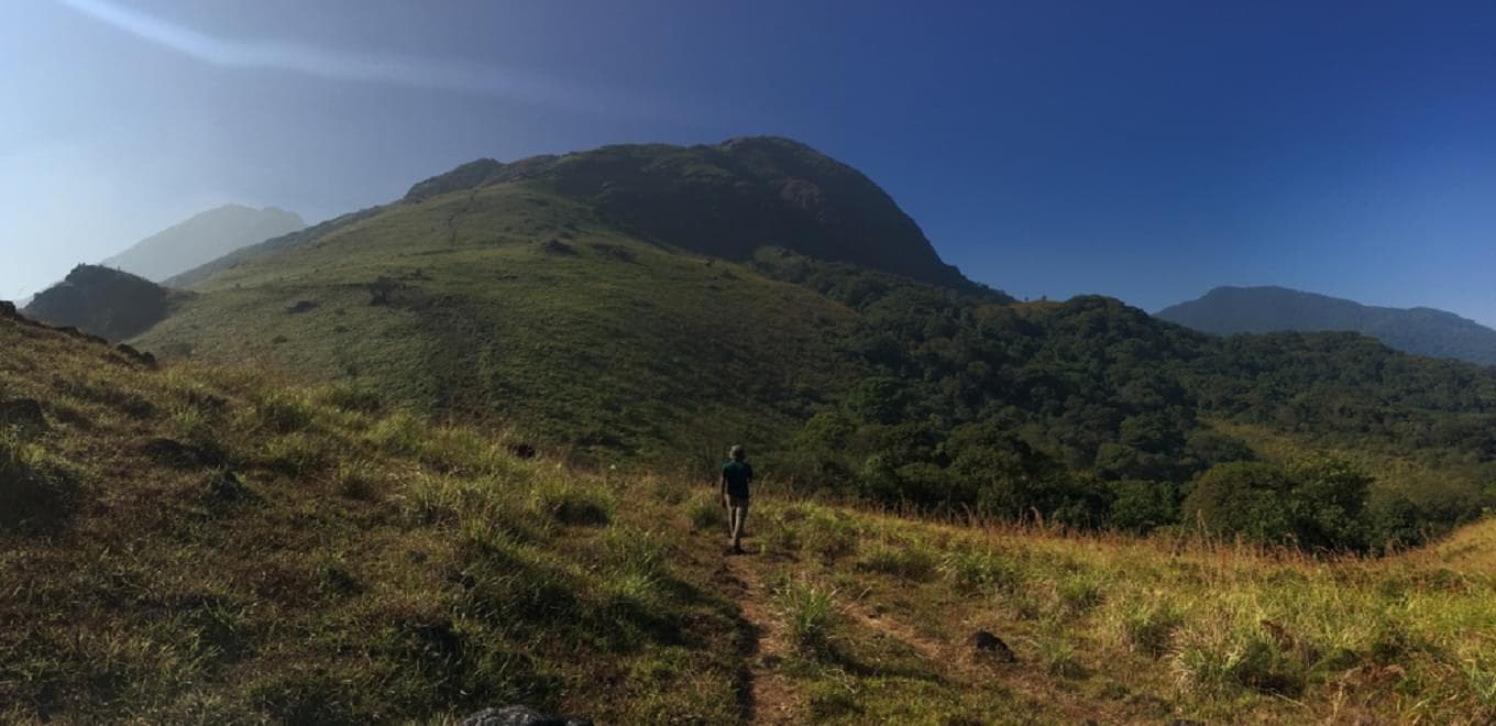 Top Treks In Wayanad