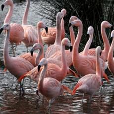 79rkx3crxsq2c469zc70rmtvhu72 240645856 4568306736533812 5650916986050836274 n