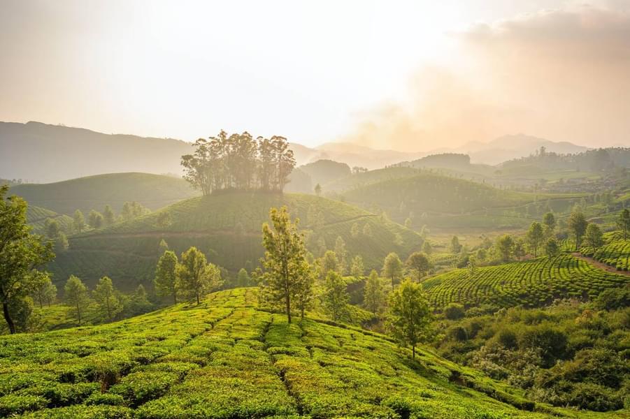 Jeep Ride To Sathram & Mlamala Waterfalls From Thekkady Image