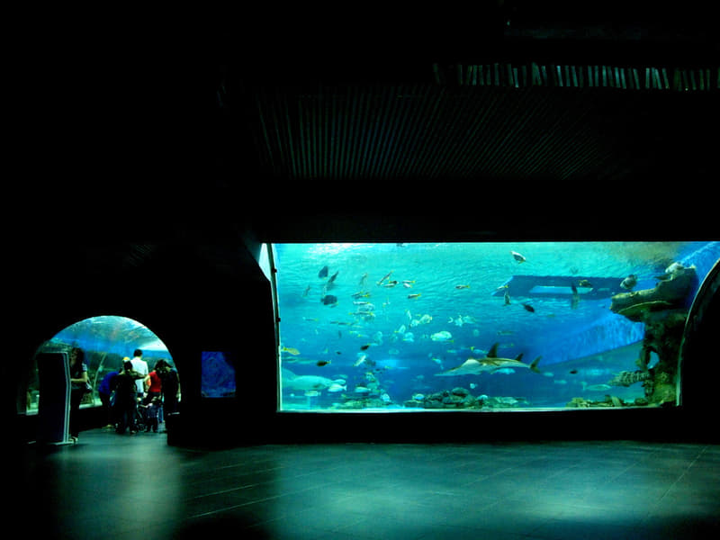 Manila Ocean Park Tickets Image