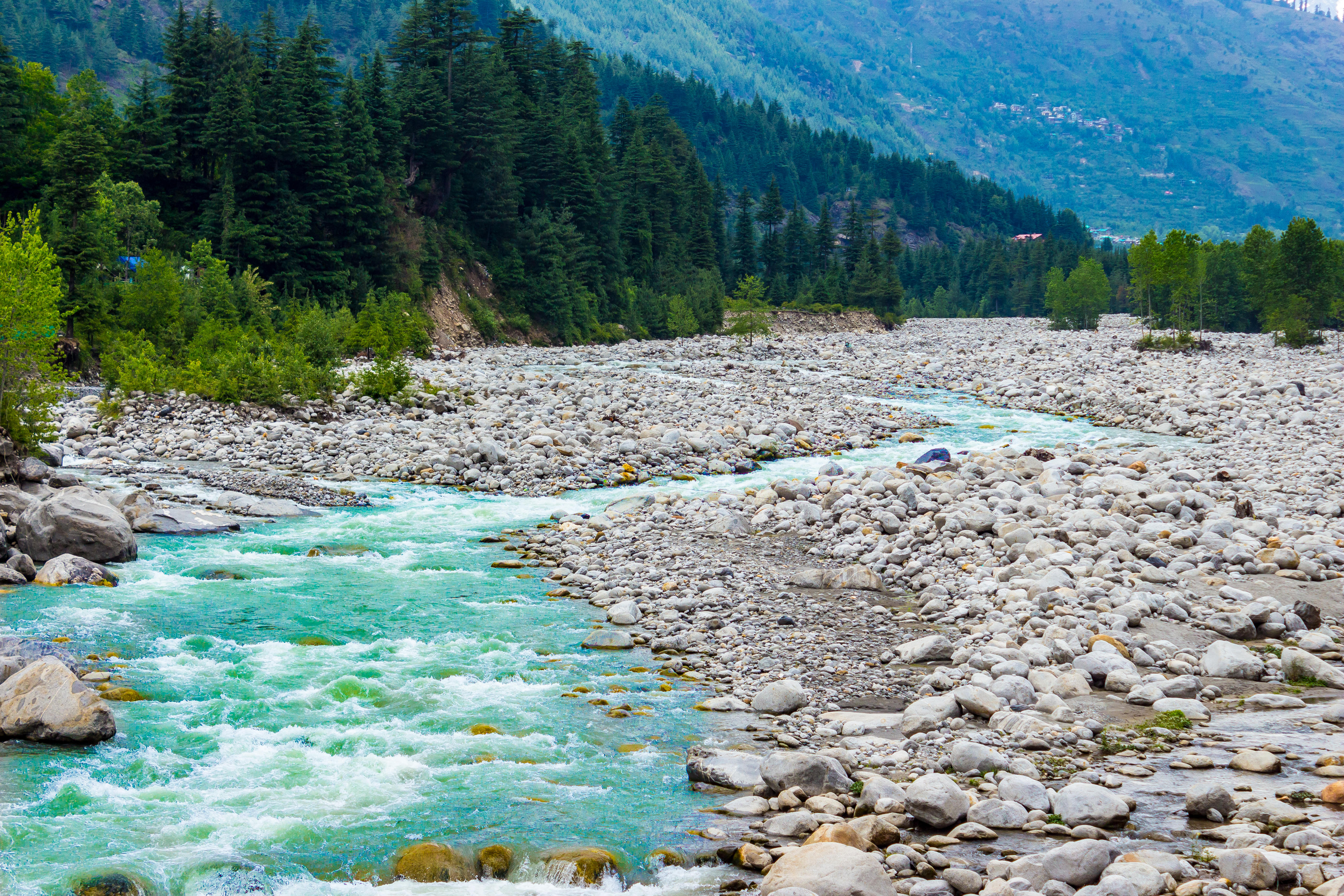 Beas River