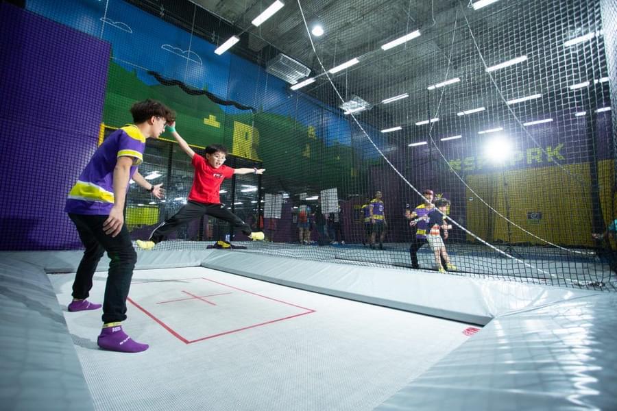 trampoline platform.jpg