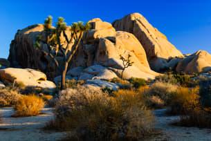 7bcmb5btv5nmrvp2yla4anohnd2s shutterstock 142733527