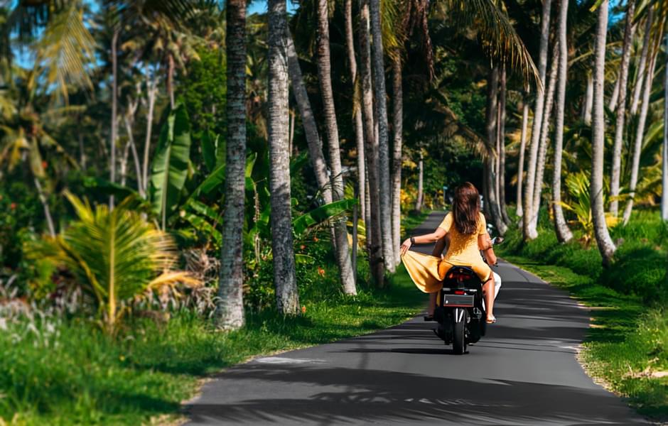 Scooty Rental in Mangalore Image