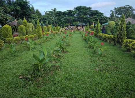 Matai Garden Overview