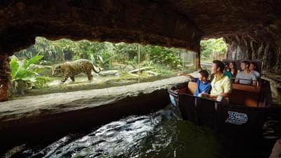 [Add On] River Wonders - Amazon River Quest Boat Ride