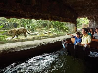Have a fun-filled family experience at the Amazon River Quest Boat Ride