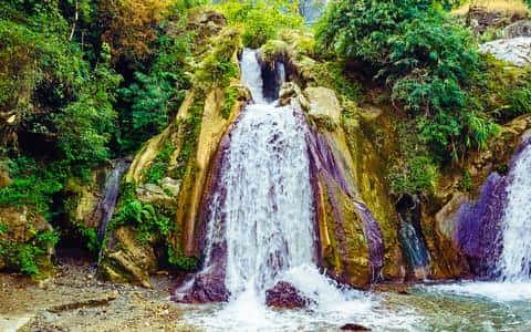 Best Homestays in Chakrata