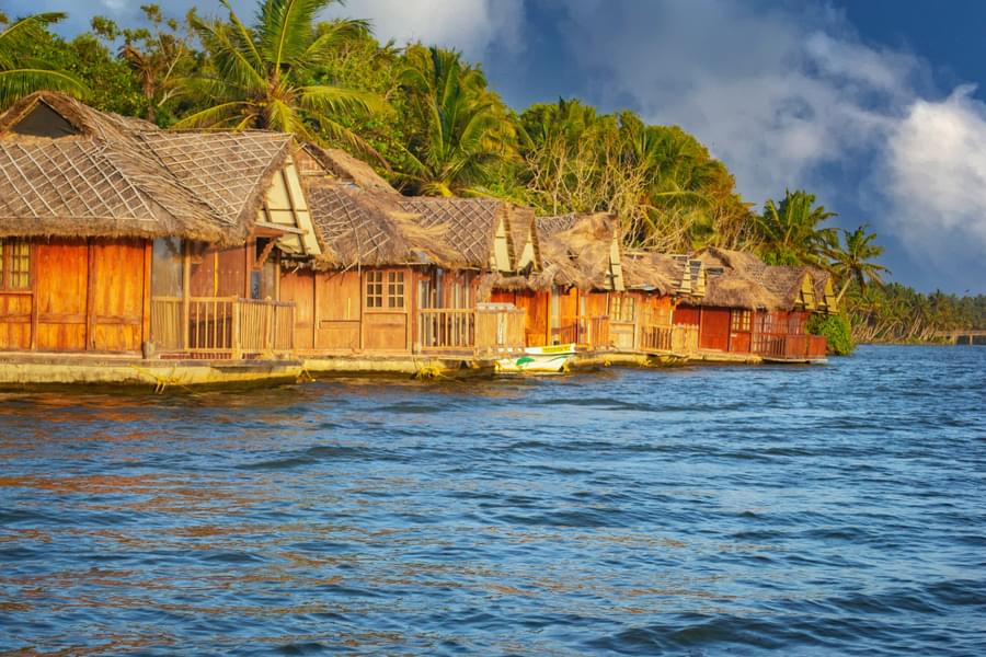Poovar Boating with Bird Watching Image