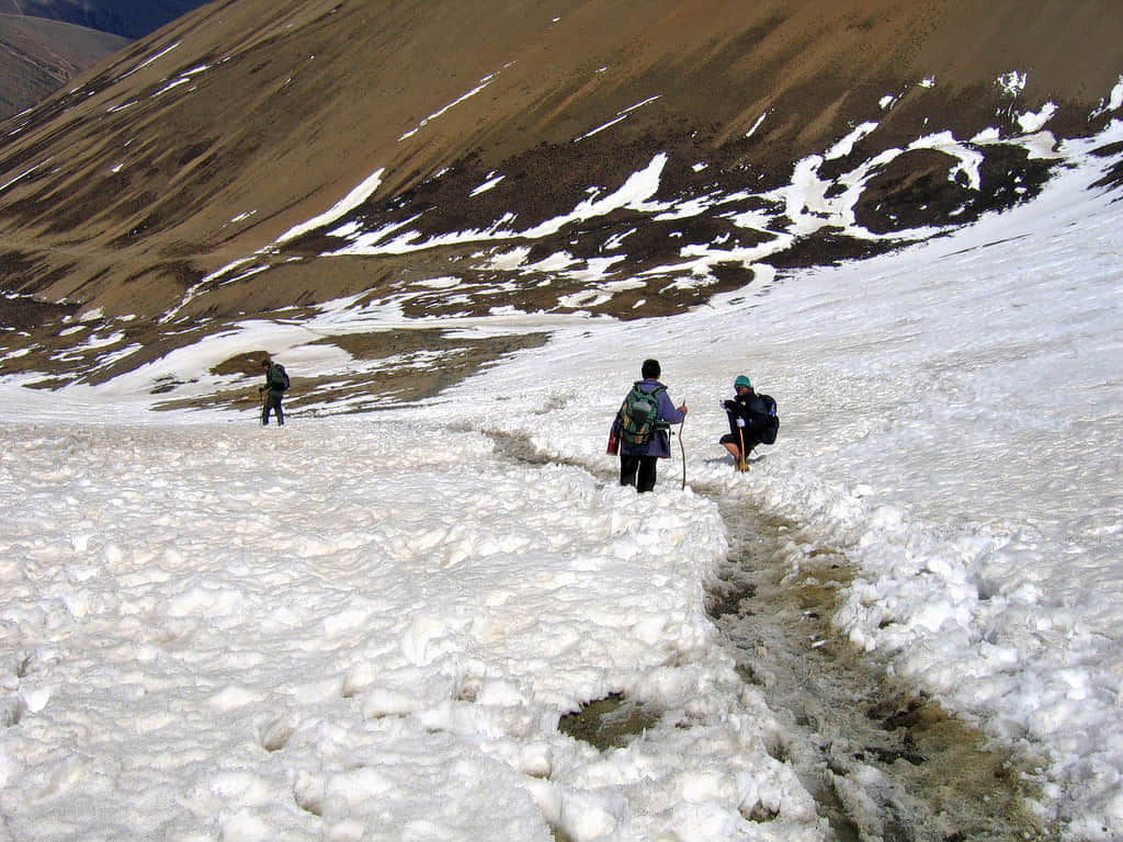 Snowman Trek Ii