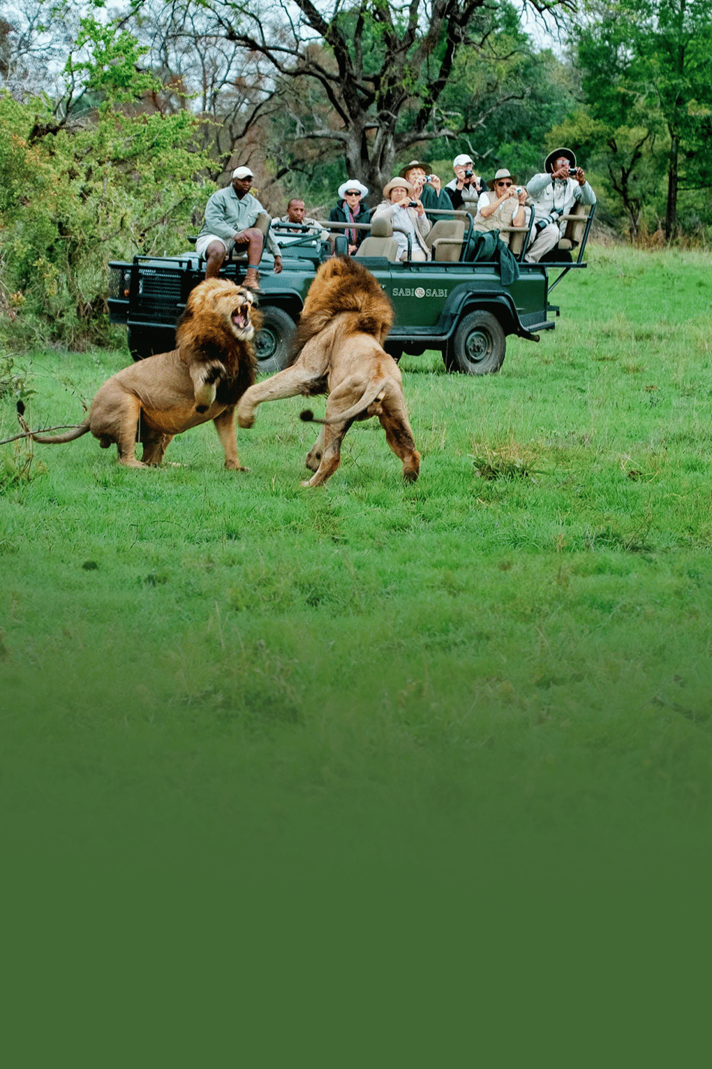 Family Getaway to South Africa with Safari at Kruger National Park