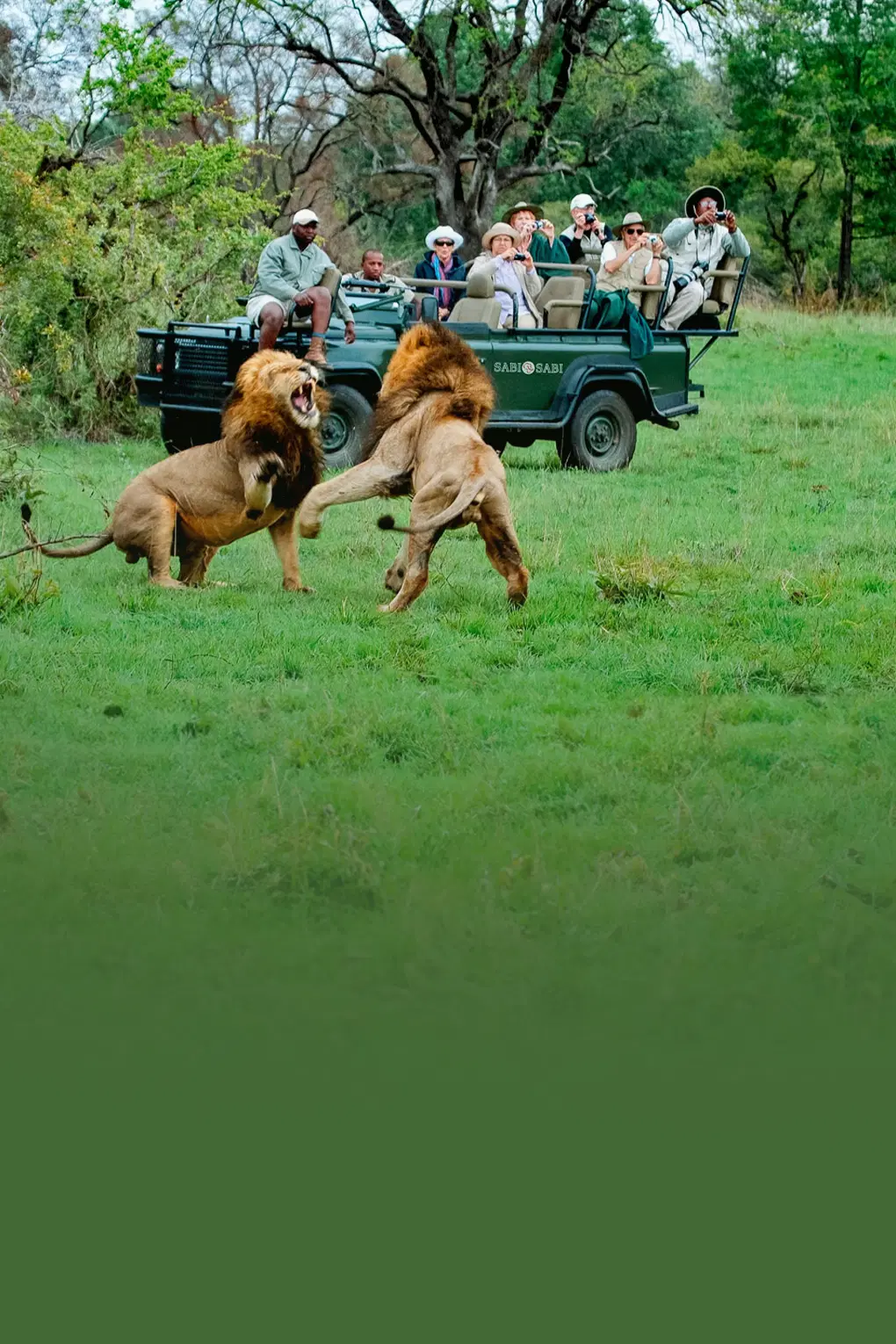 Family Getaway to South Africa with Safari at Kruger National Park