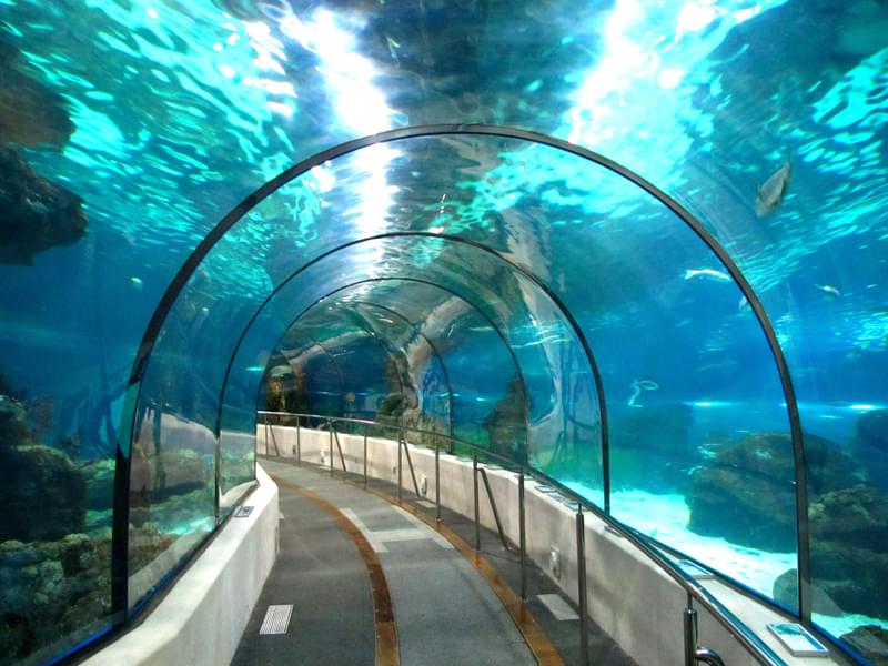 Rock Pools Ocean Tunnel