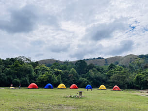 7dz7r3t7q7zksufqn36fbcwnx66y img 1576