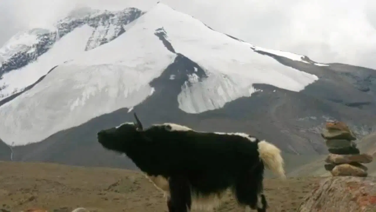 Photo from Kanaka Singh's trip