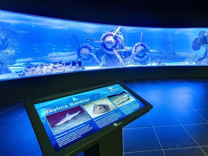 Highlights for Antalya Aquarium