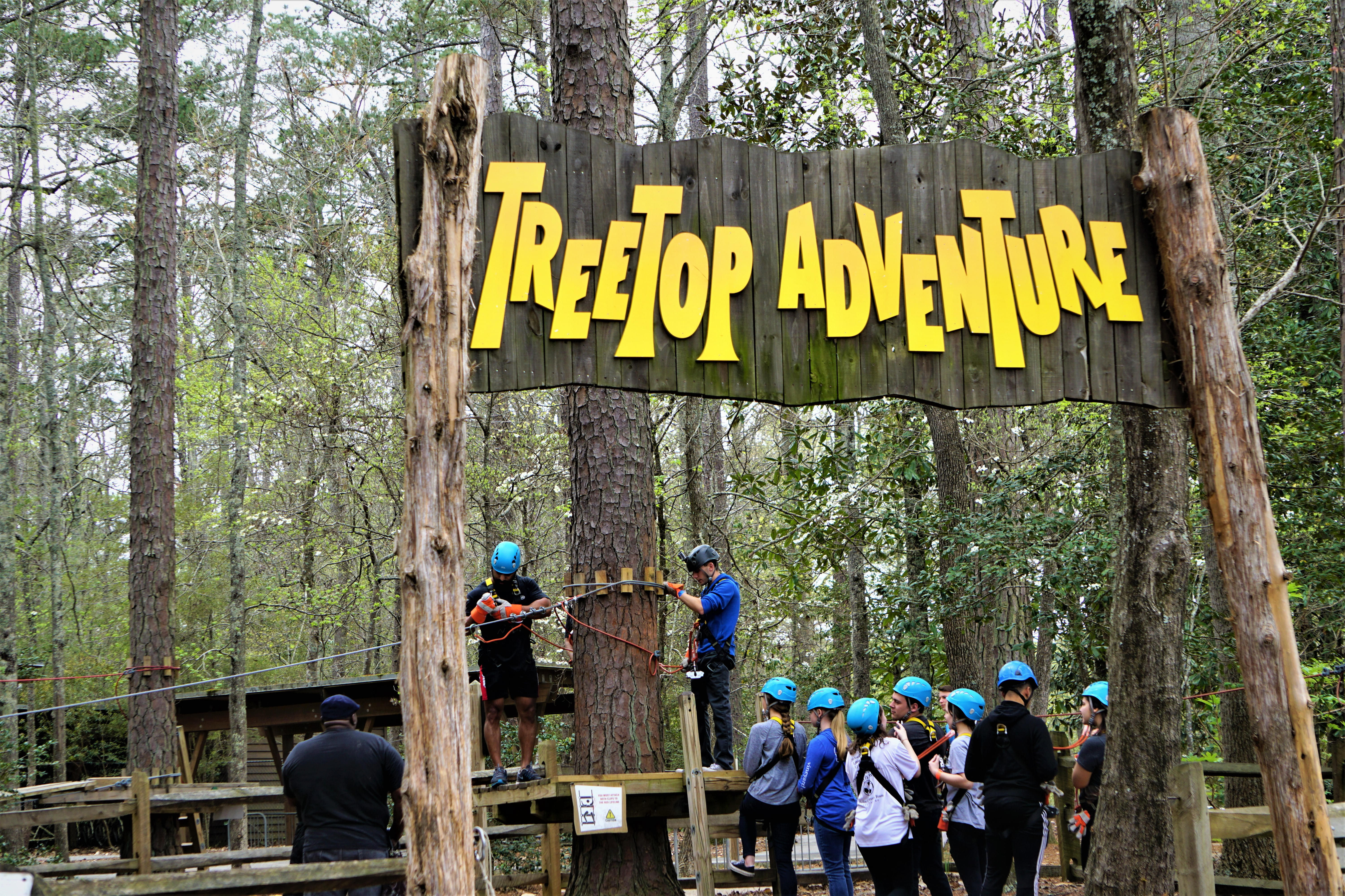 Treetop Challenge