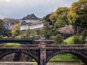 Tokyo Panoramic Tour