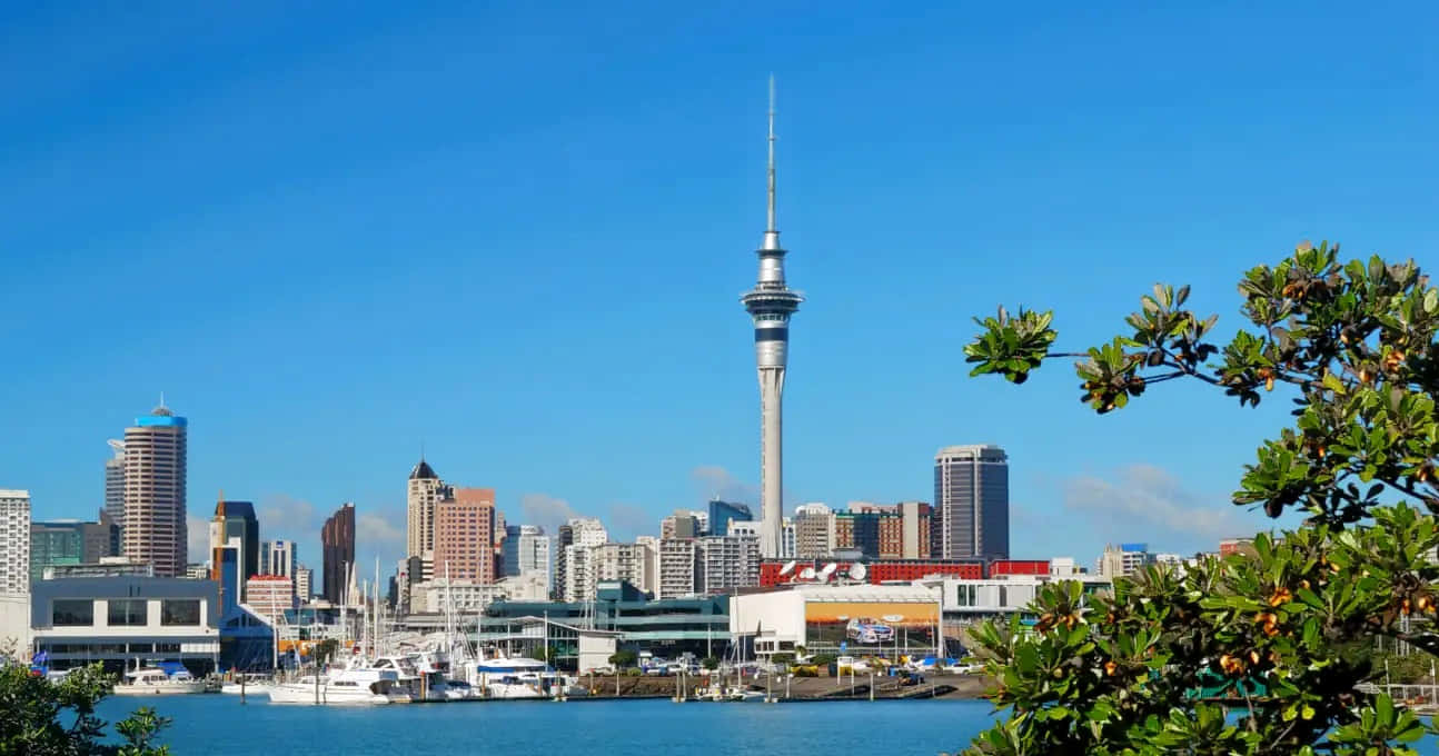 Sky Tower Auckland Tickets
