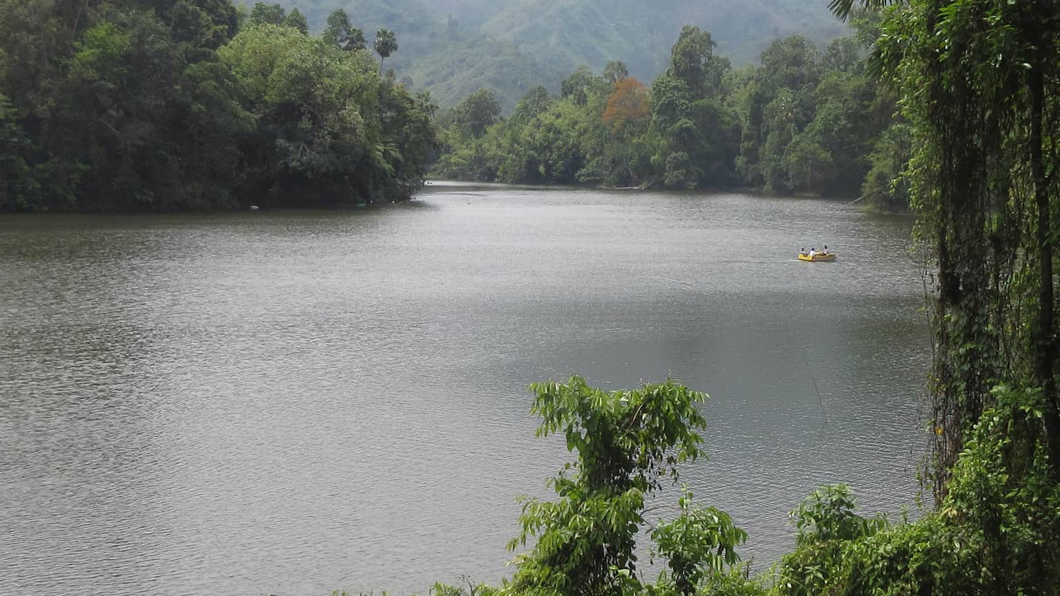 Indulge in Birdwatching and Butterfly Spotting