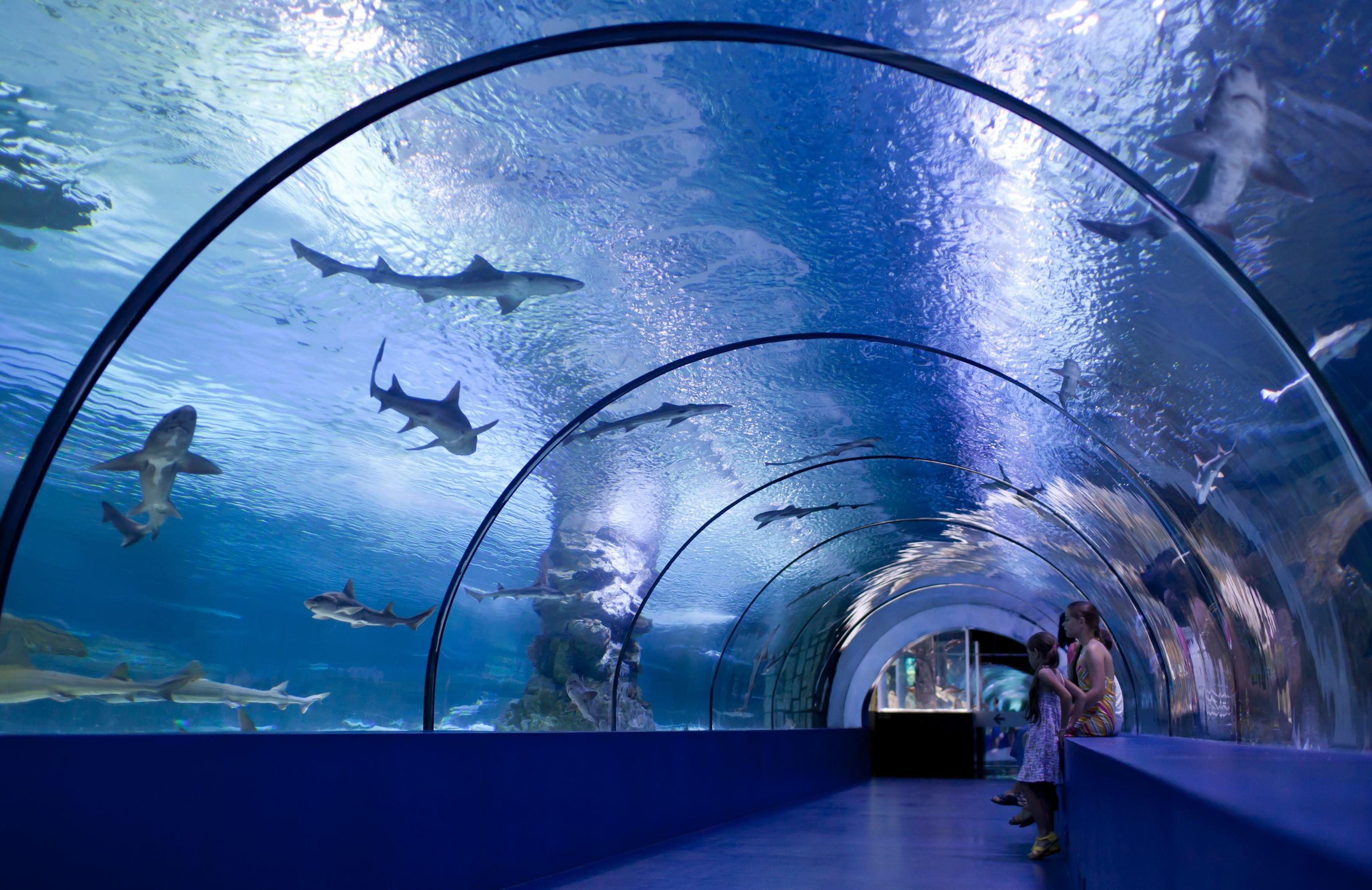 Antalya Aquarium Entrance Ticket