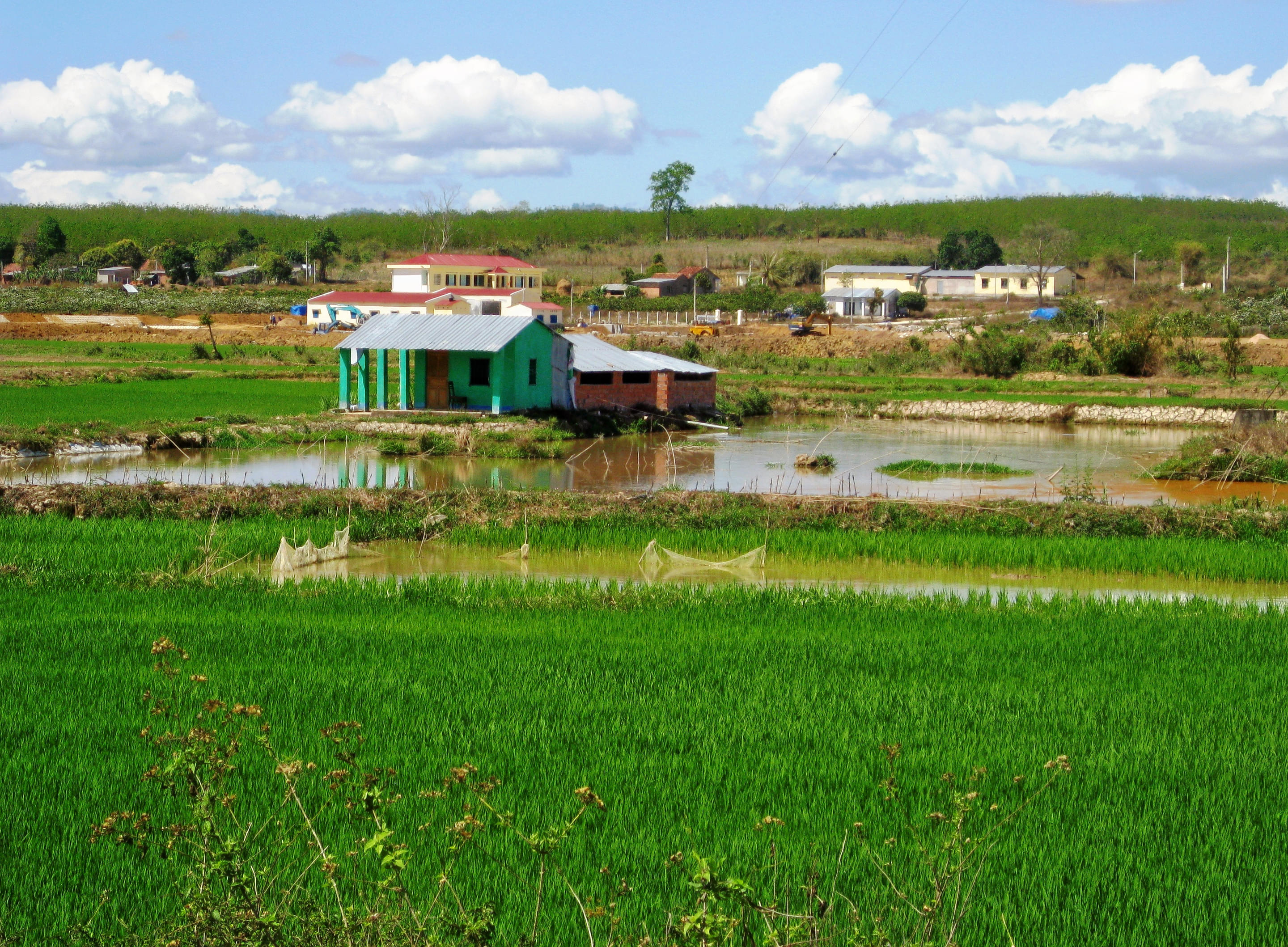 Living Land Rice Farm Overview