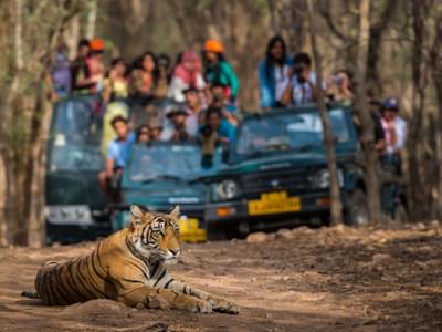 Golden Triangle with Ranthambore | FREE Jungle Safari Day 1