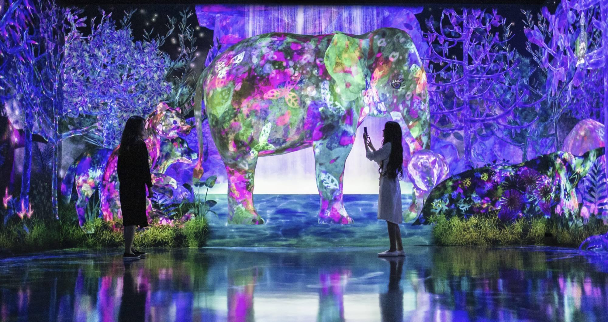 teamLab Forest Fukuoka Overview