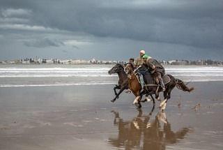 Cheval Essaouira