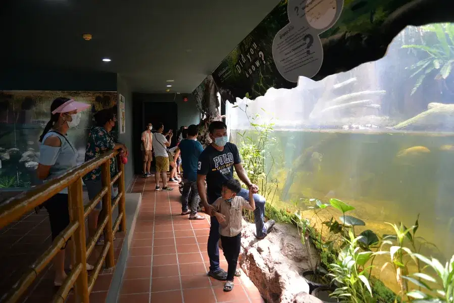 Monster Aquarium, <em>Pattaya</em>