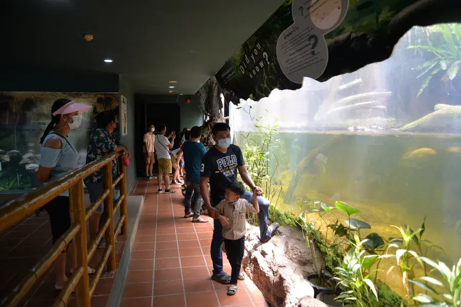 Monster Aquarium