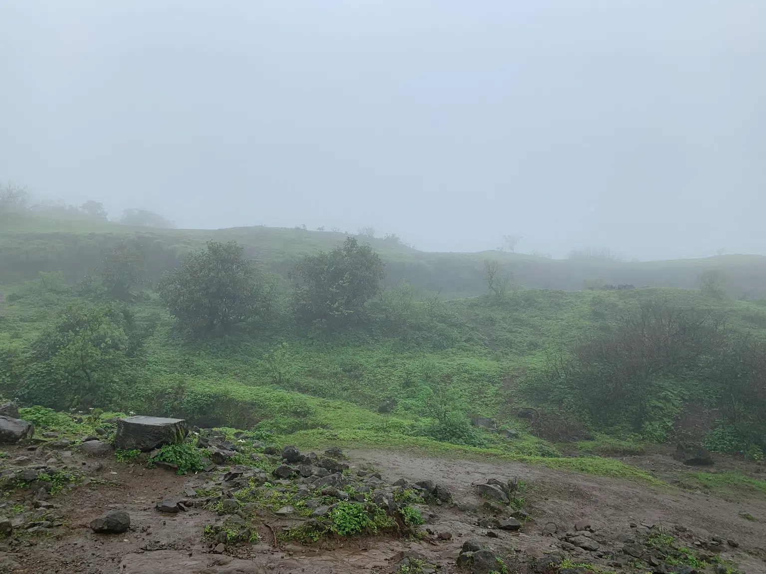 Photo from Tanushree Sethi's trip