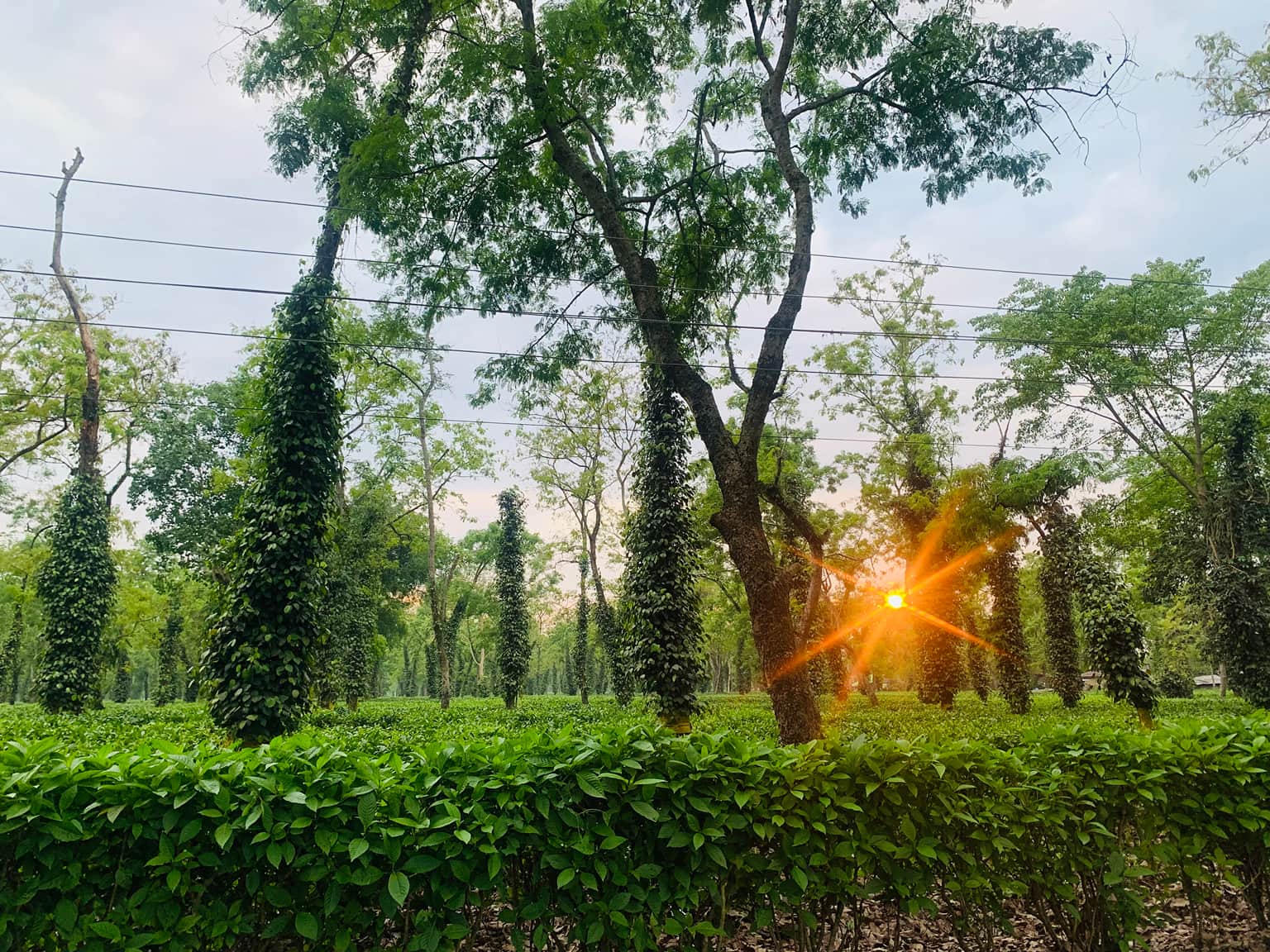 Photo from Sagar Deokar's trip