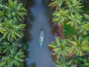 Aerial view of boating in Kerala backwaters