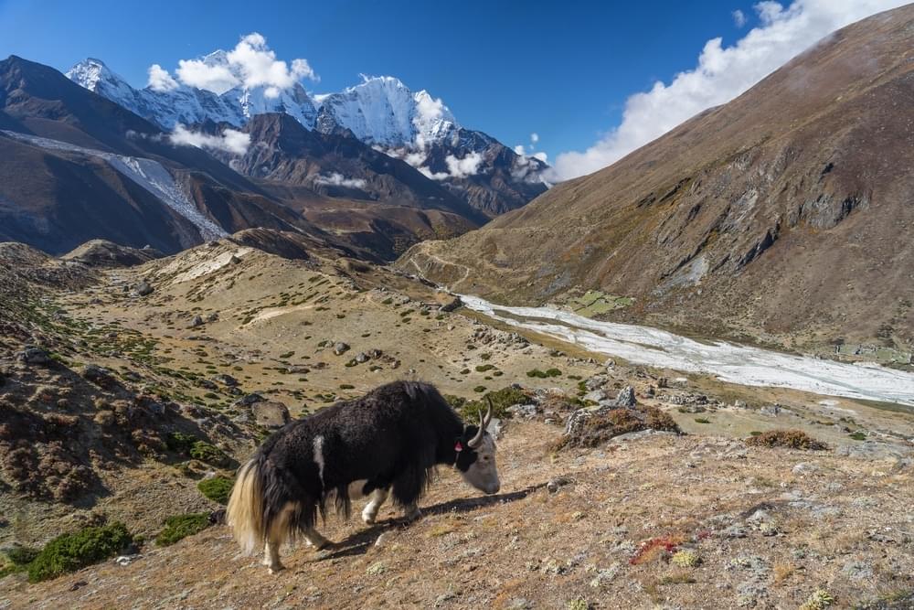 Thukla Pass, Nepal Overview