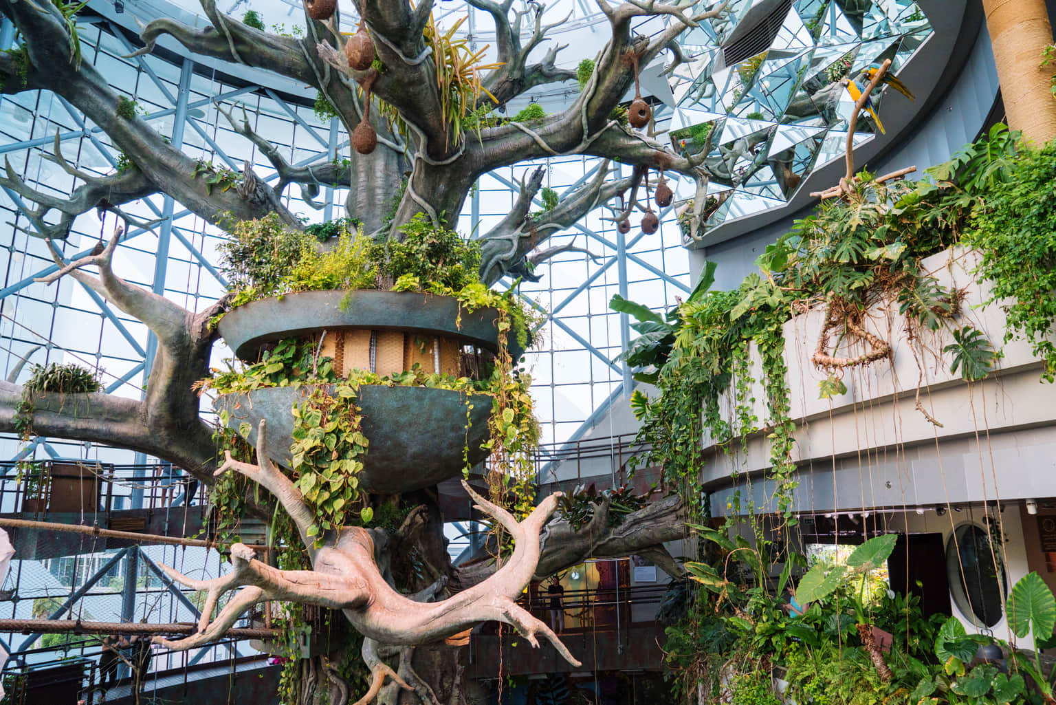 Green Planet Dubai, <em>Dubai</em>