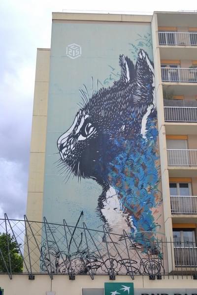 The Boulevard 13 Project